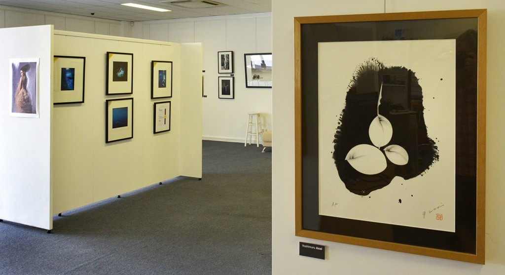 Gallery-Frenzy